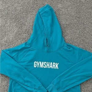 Gymshark Teal Pullover Hoodie